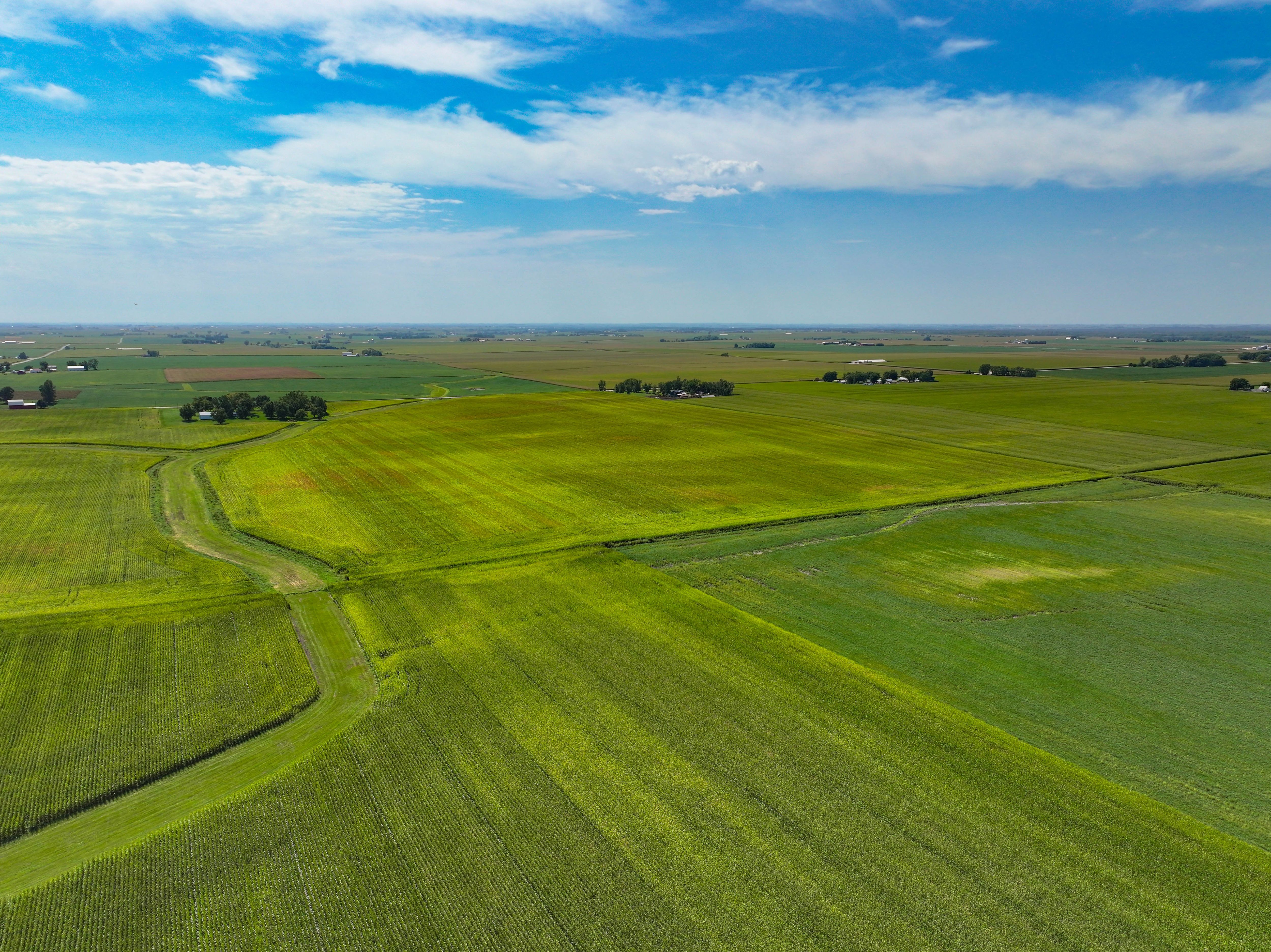 Listing Photo: 4_Black Hawk County Farmland Available
